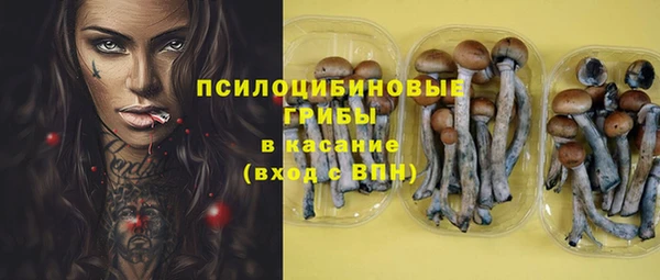 гидропоника Володарск