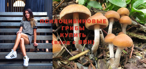 МДПВ Волосово