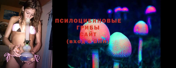 МДПВ Волосово