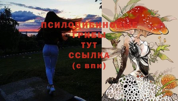 МДПВ Волосово