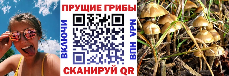 Галлюциногенные грибы Magic Shrooms  Мончегорск 