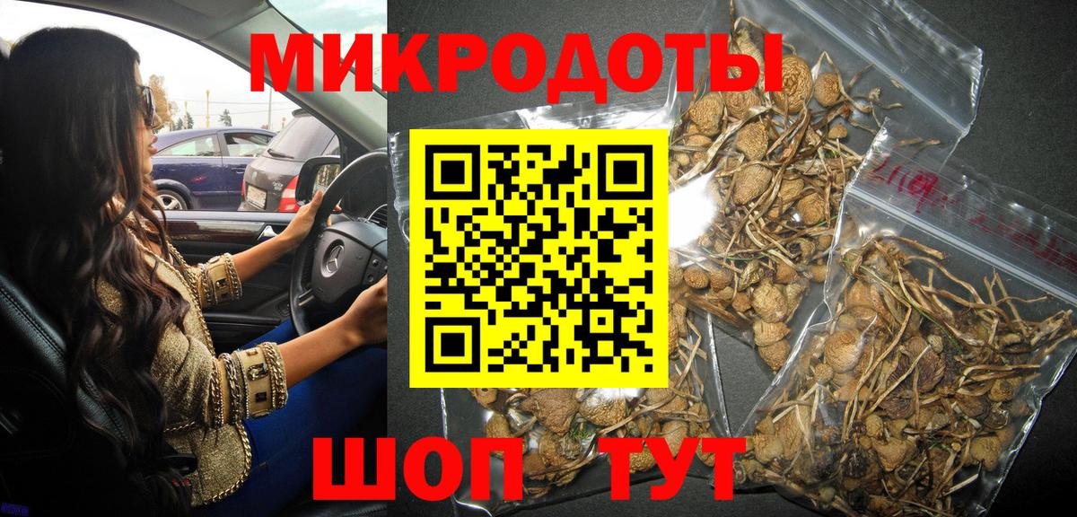 Мончегорск  Псилоцибиновые грибы MAGIC MUSHROOMS  купить наркотик  Псилоцибиновые грибы Psilocybe  Вход с VPN 